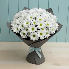 Букет цветов из:  Хризантемы в Егорлыкской